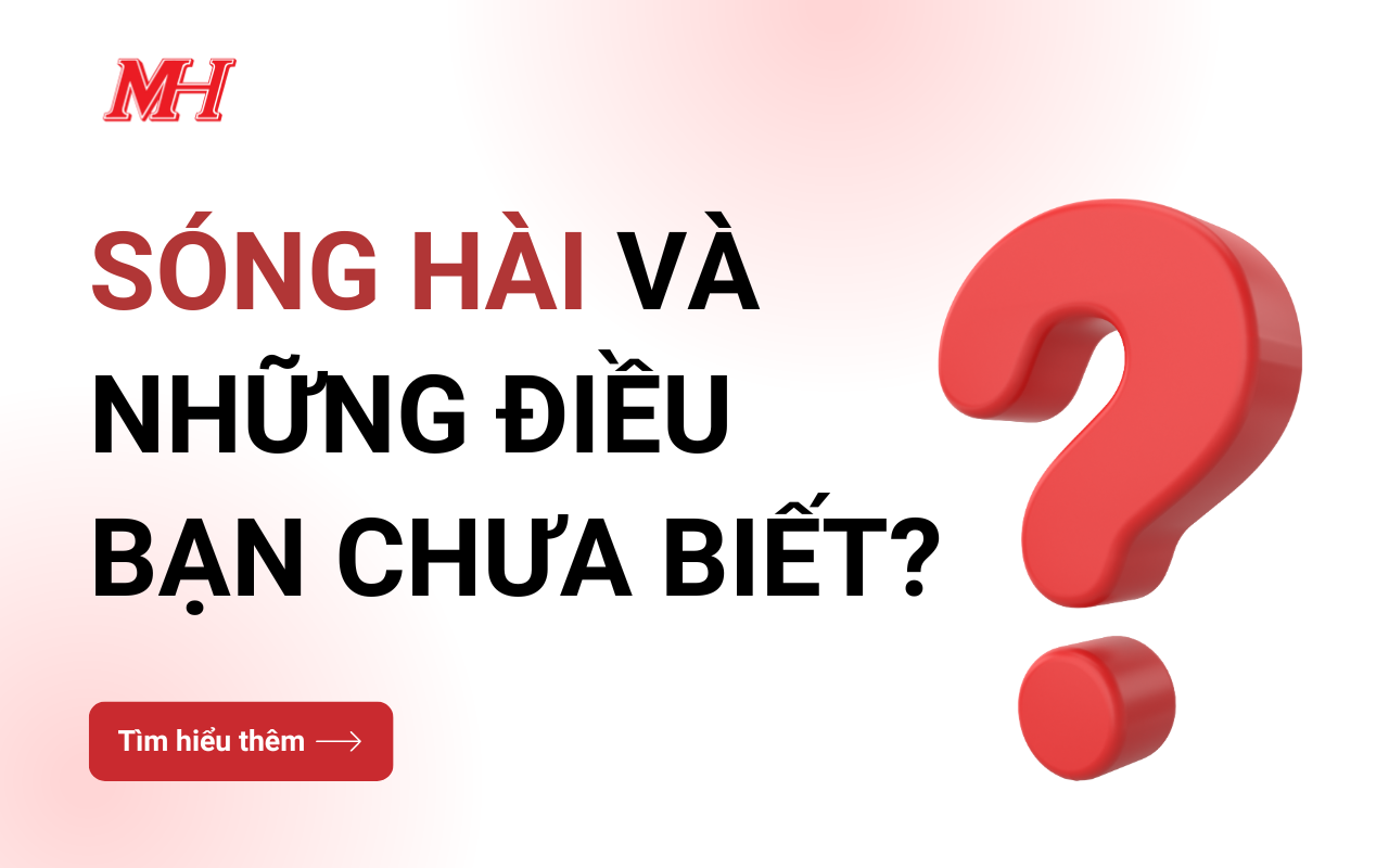 SÓNG HÀI VÀ NHỮNG ĐIỀU BẠN CHƯA BIẾT !!!